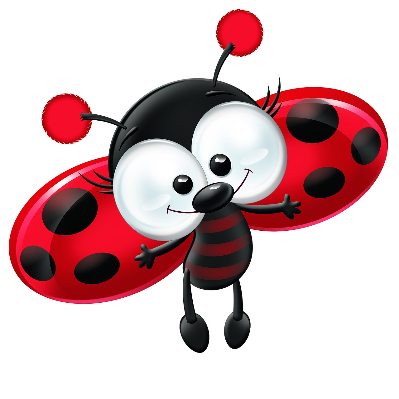 illustration ladybug beetle free photo