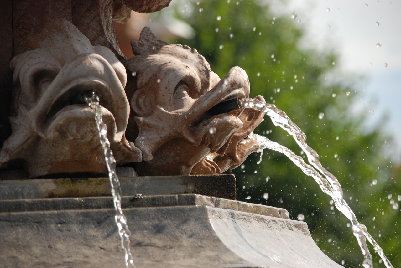 image fountain fish free photo