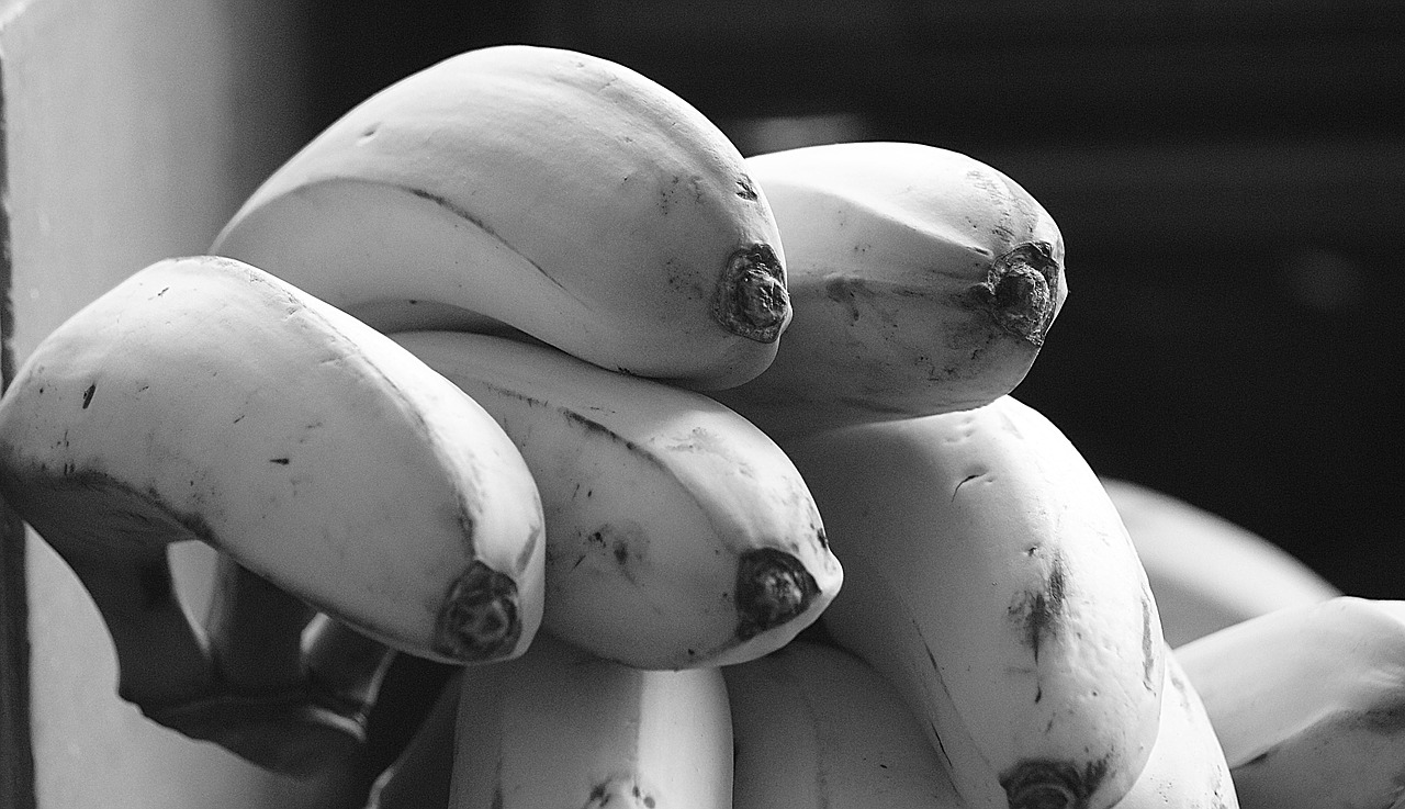 image black and white banana free photo