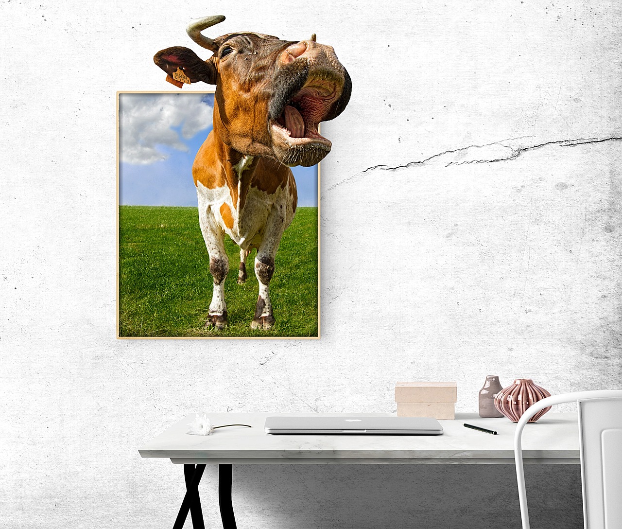 image desk cow free photo