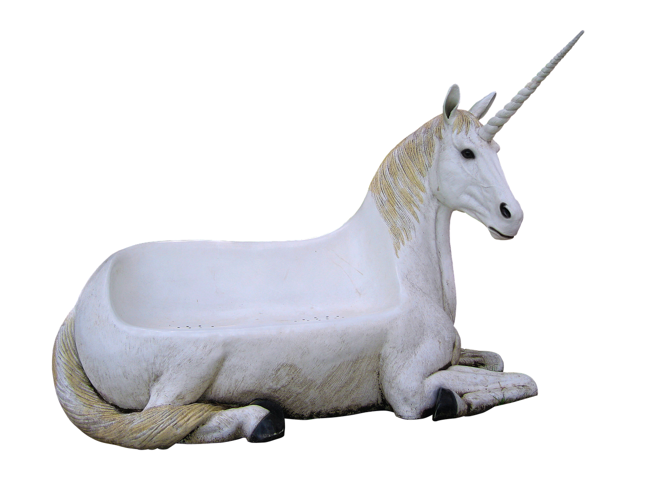 image cropped unicorn animal magic free photo