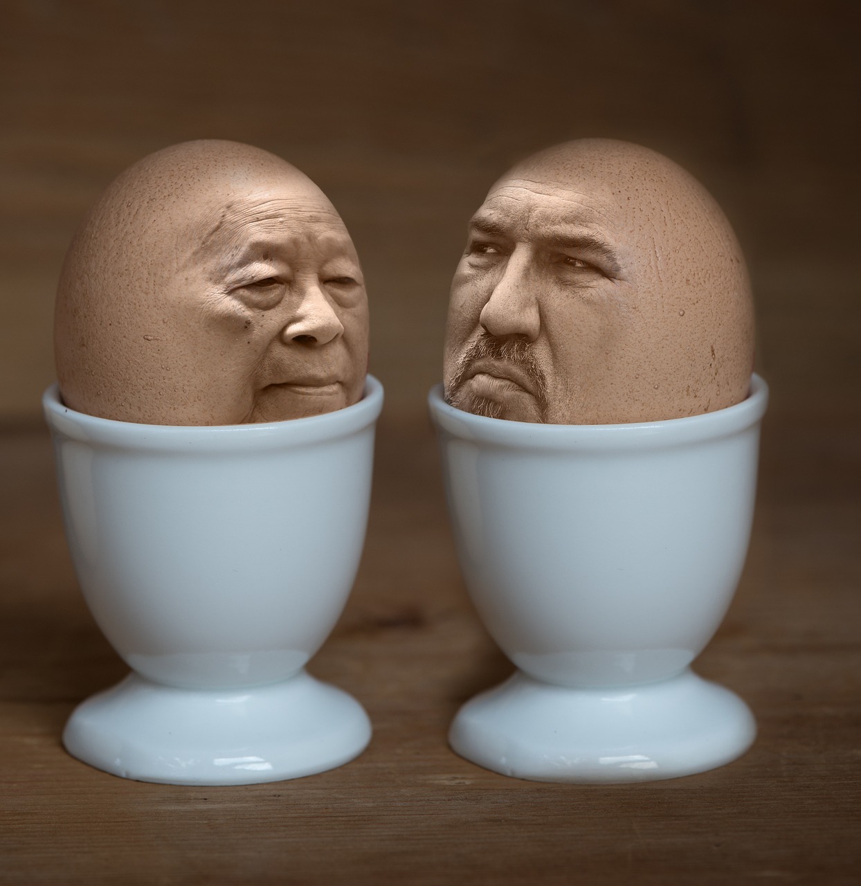 iman egg egg cups free photo