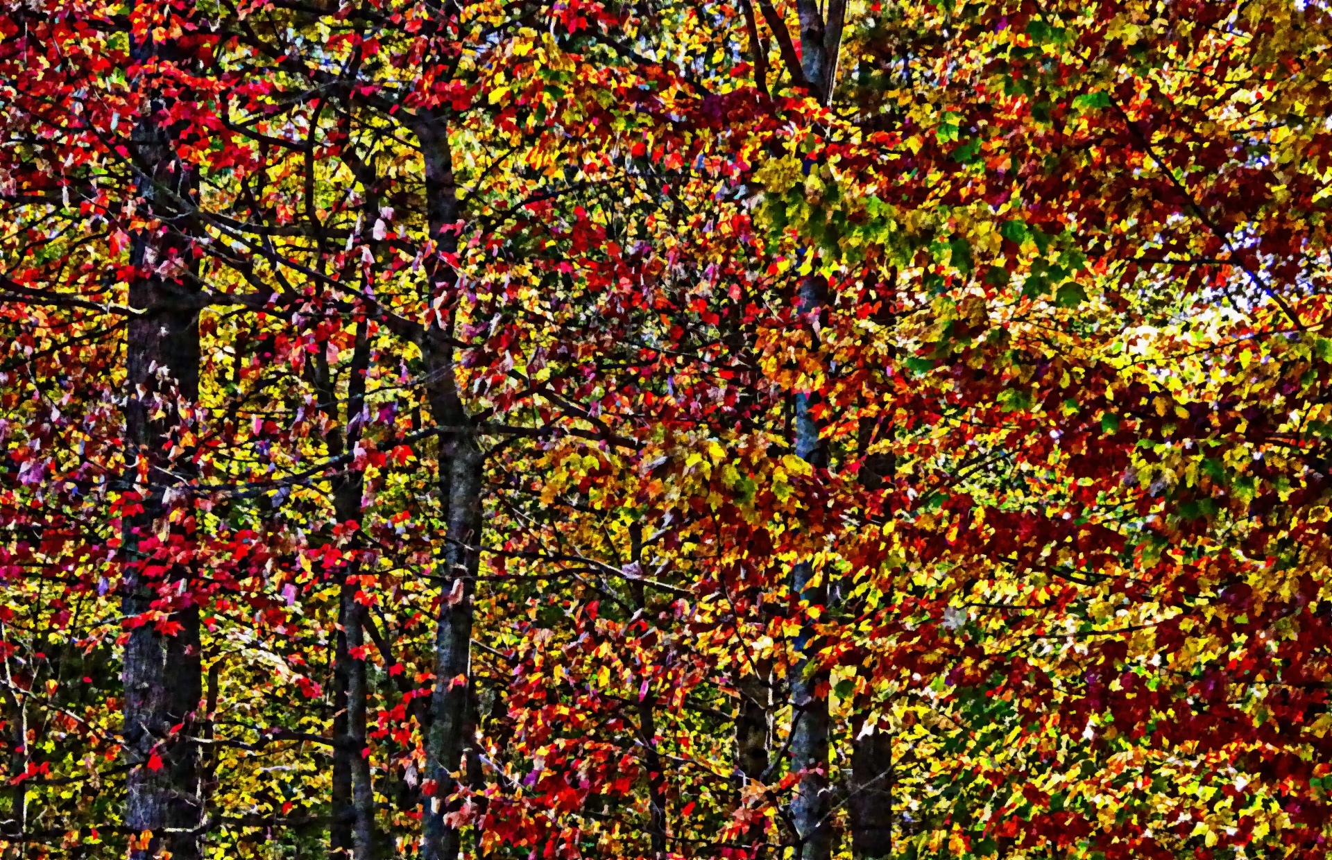 impressionist trees forest free photo