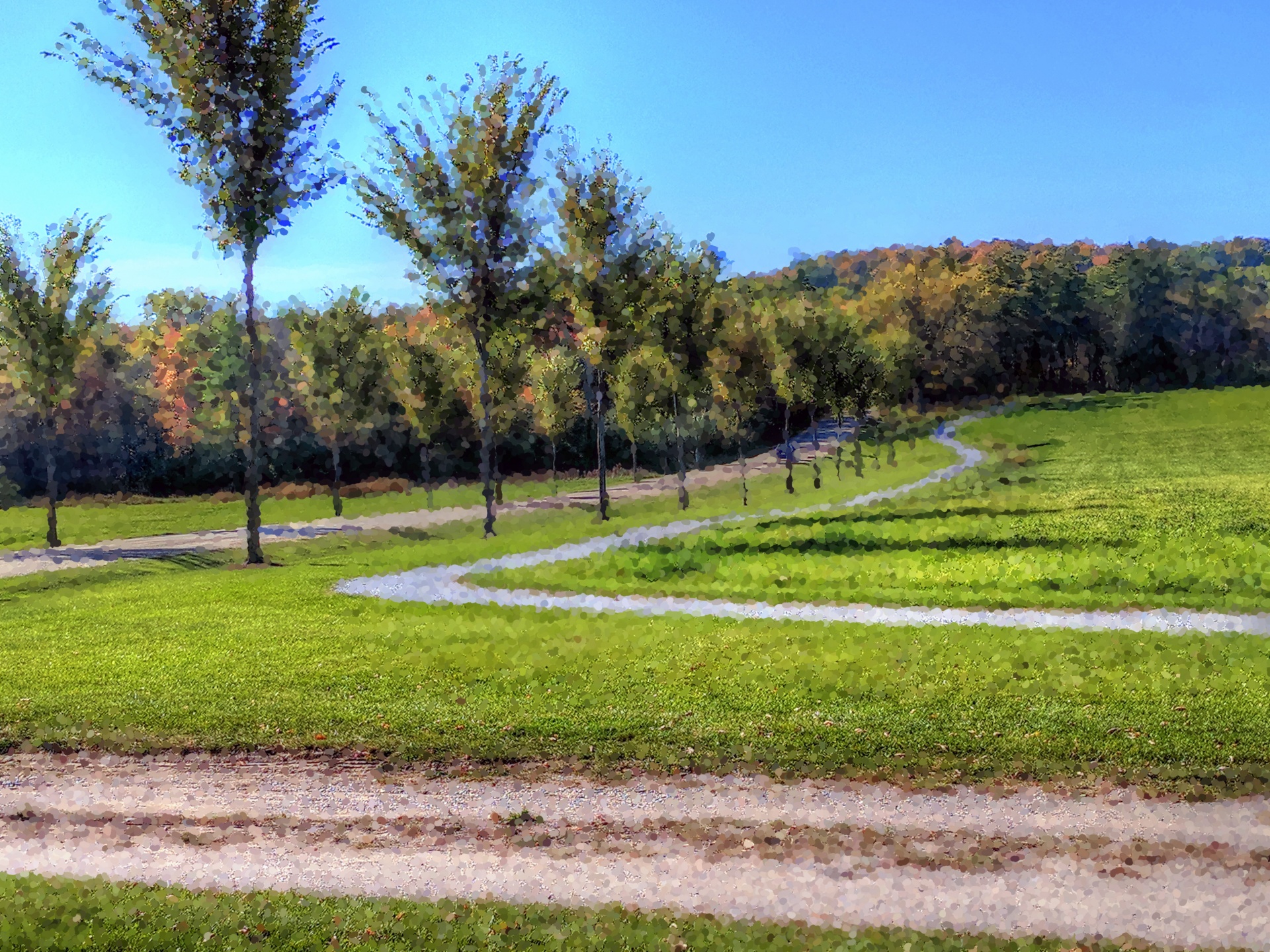 landscape trees road free photo