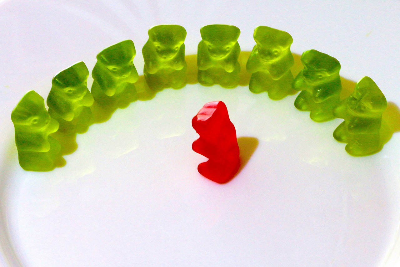 in a semicircle gummi bears fruit jelly free photo