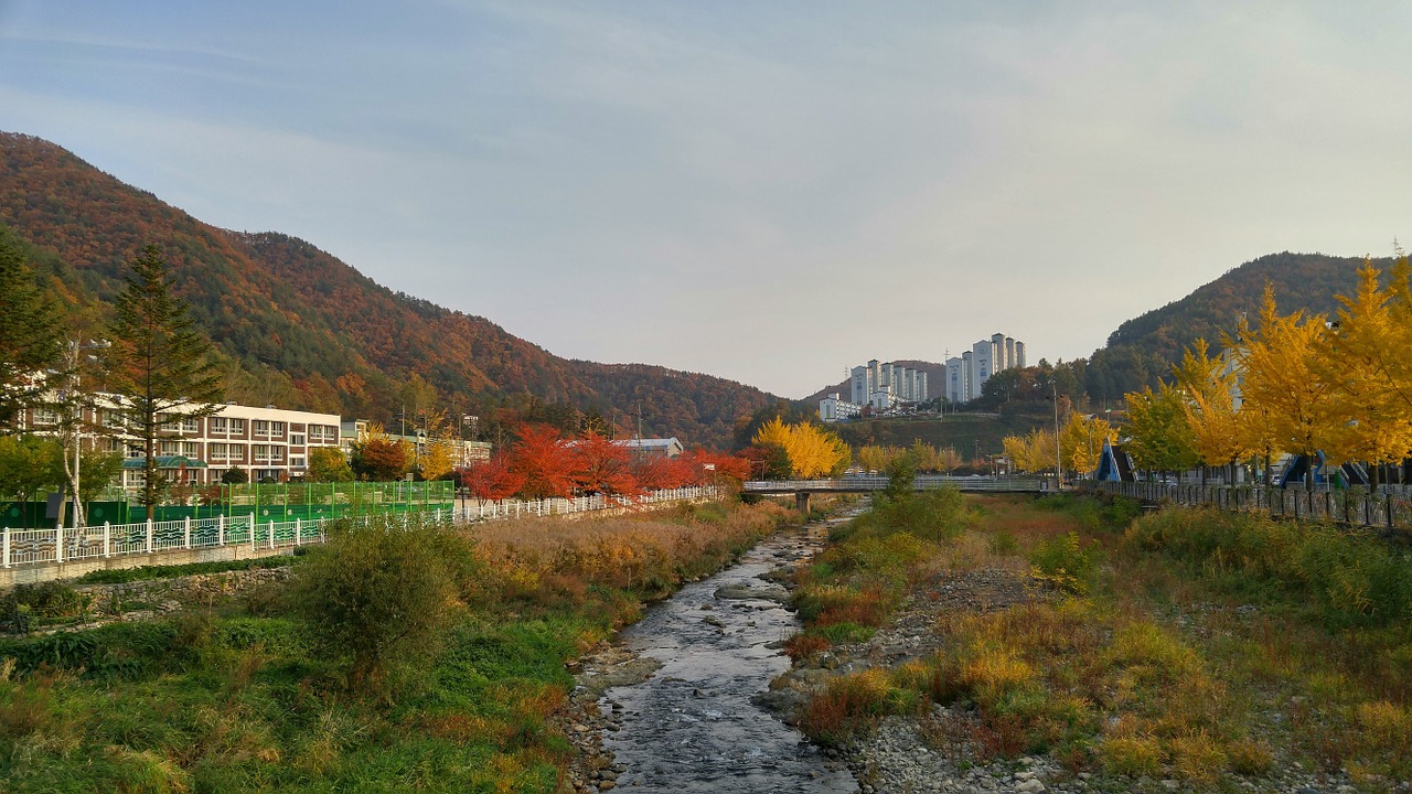 autumn landscape autumn leaves free photo