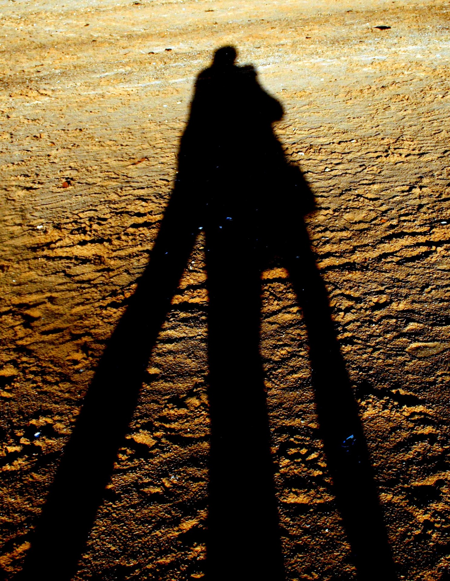 beach sand shadows free photo