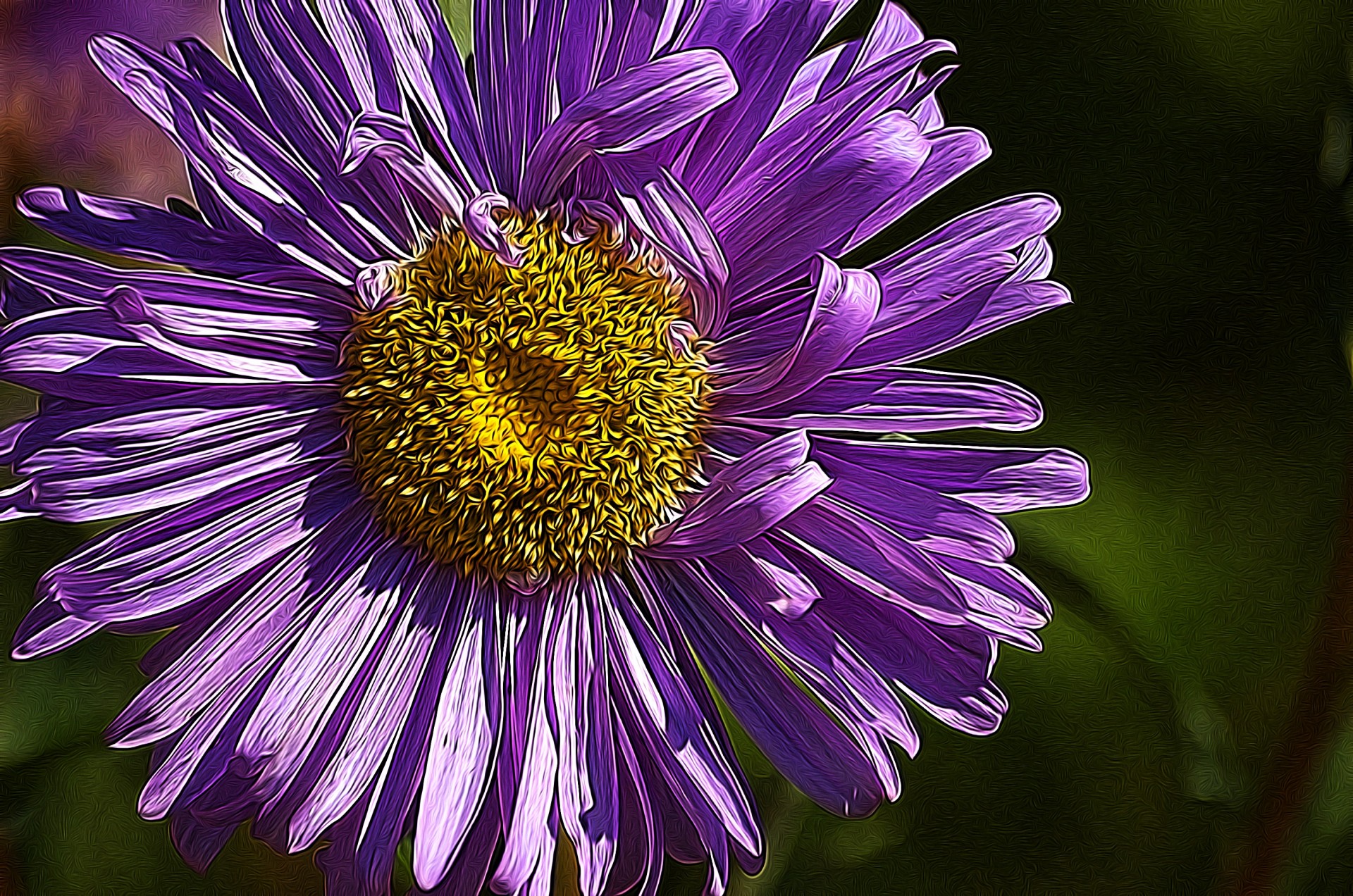 purple flower in purple free photo