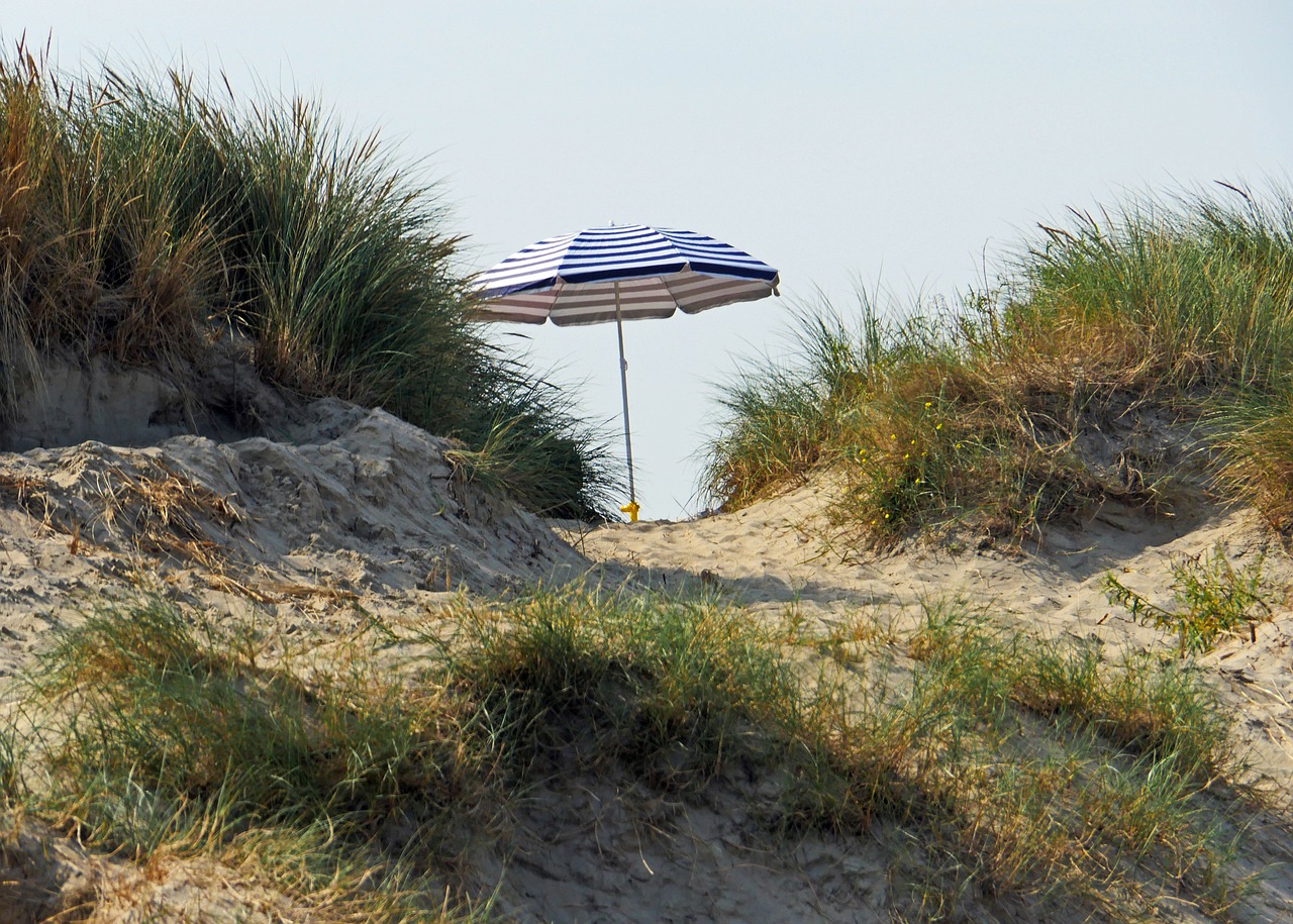 in the dunes parasol sand free photo