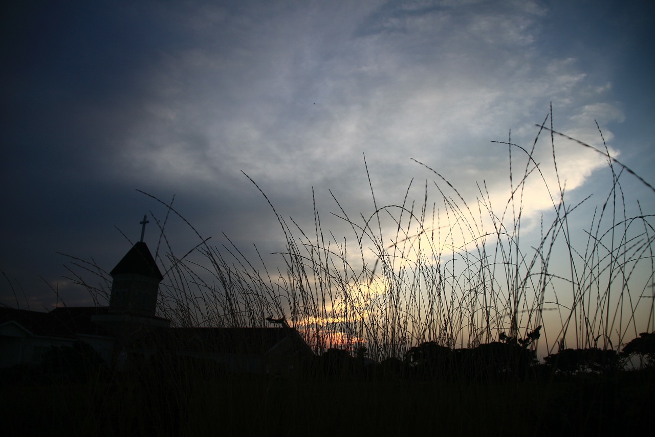 in the evening glow 夕 阳 free photo