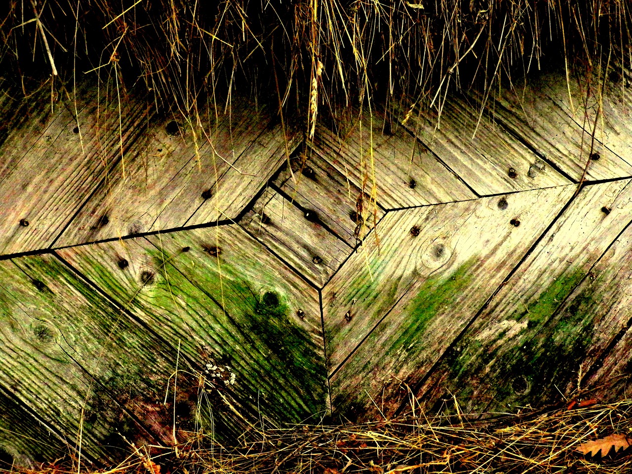 in the hay old door nature free photo