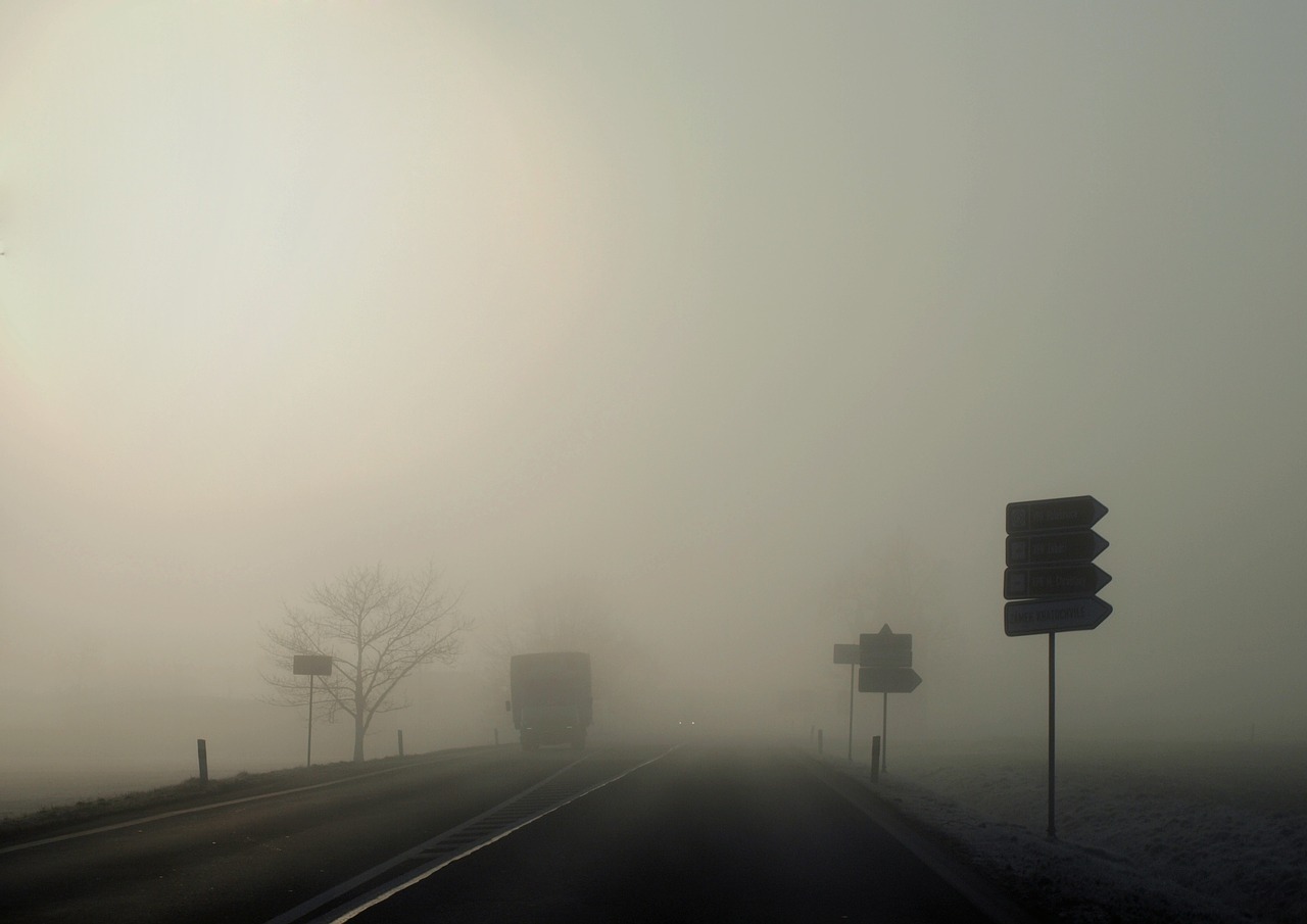 in the morning fog path free photo