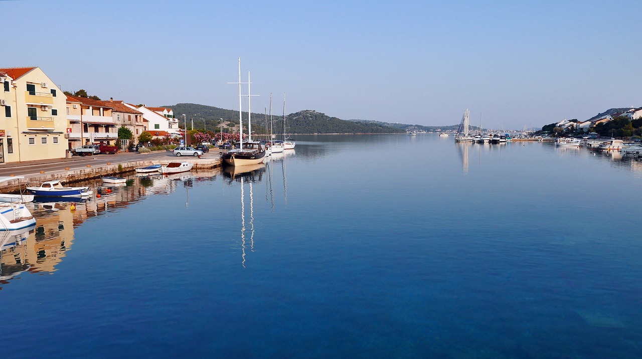 in the morning dalmatia north at 5 mph free photo