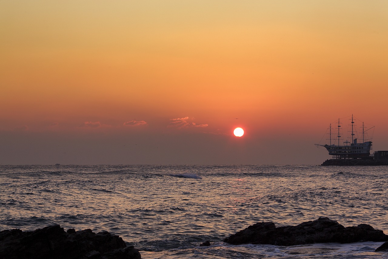 in the new year  sea  sunrise free photo