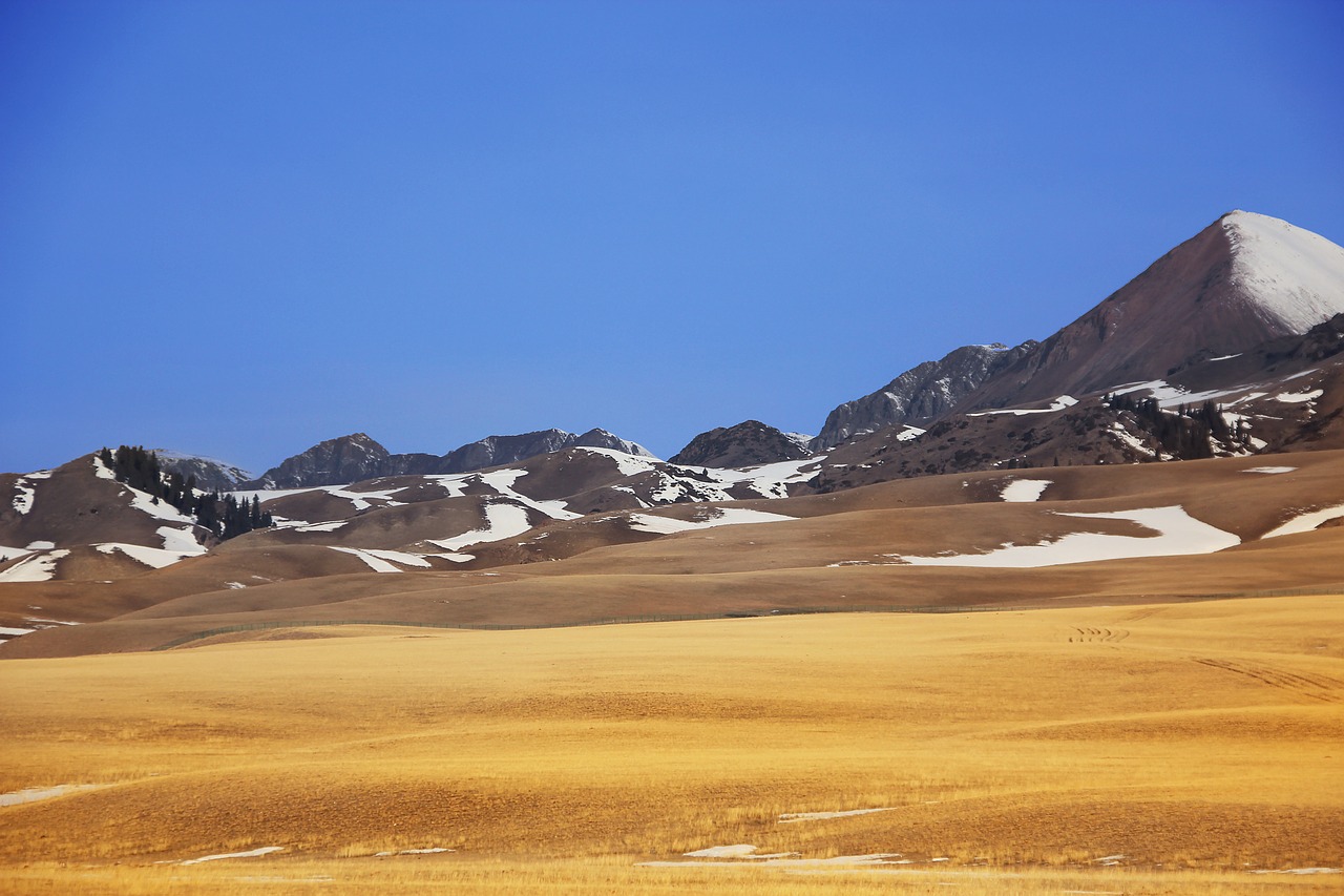 in xinjiang  prairie  snow mountain free photo