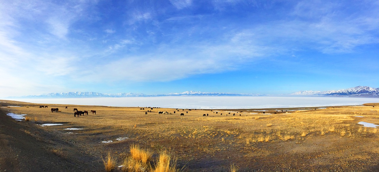 in xinjiang  sailimu lake  prairie free photo