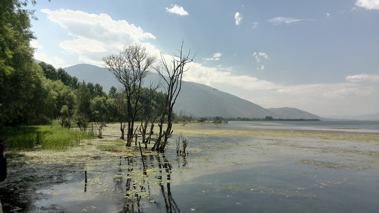 in yunnan province dali erhai lake free photo