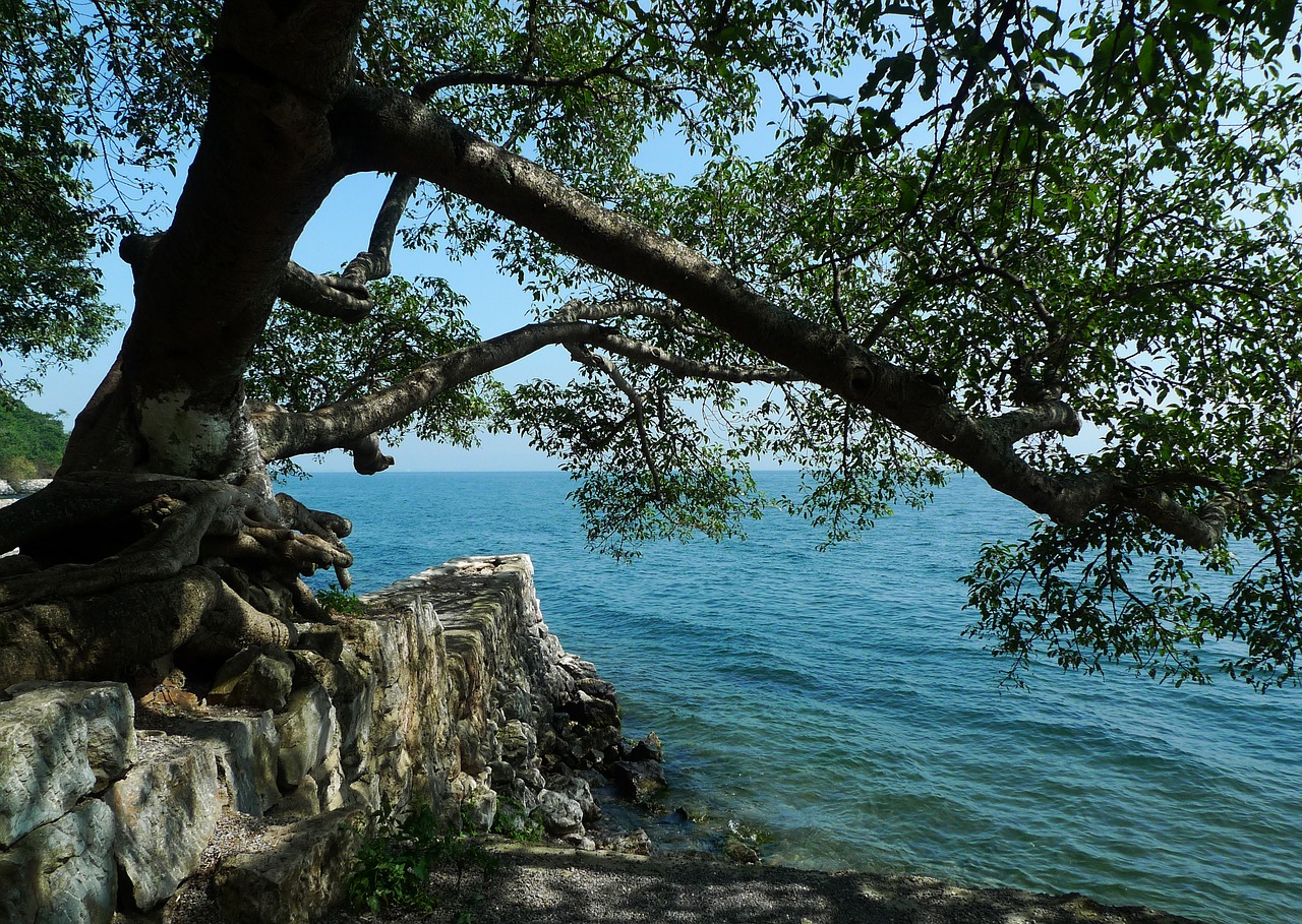 in yunnan province fuxian lake free photo