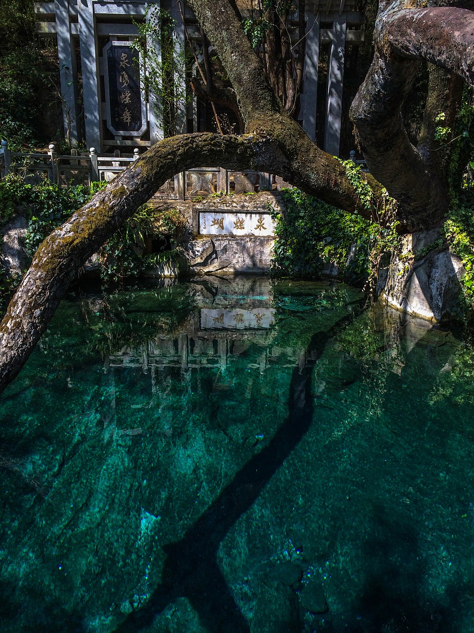 in yunnan province butterfly spring water free photo