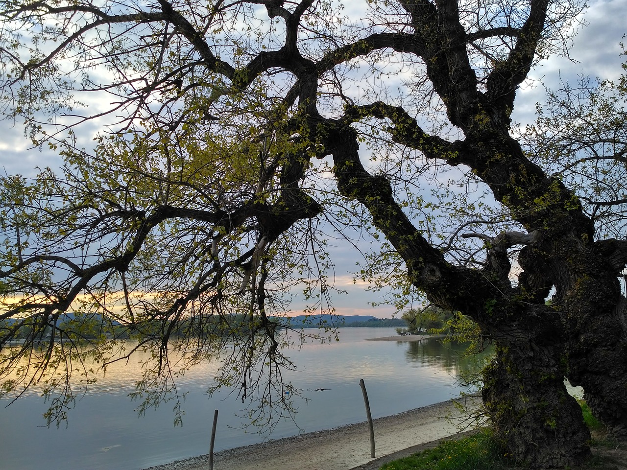 in zebegény danube the danube bend free photo