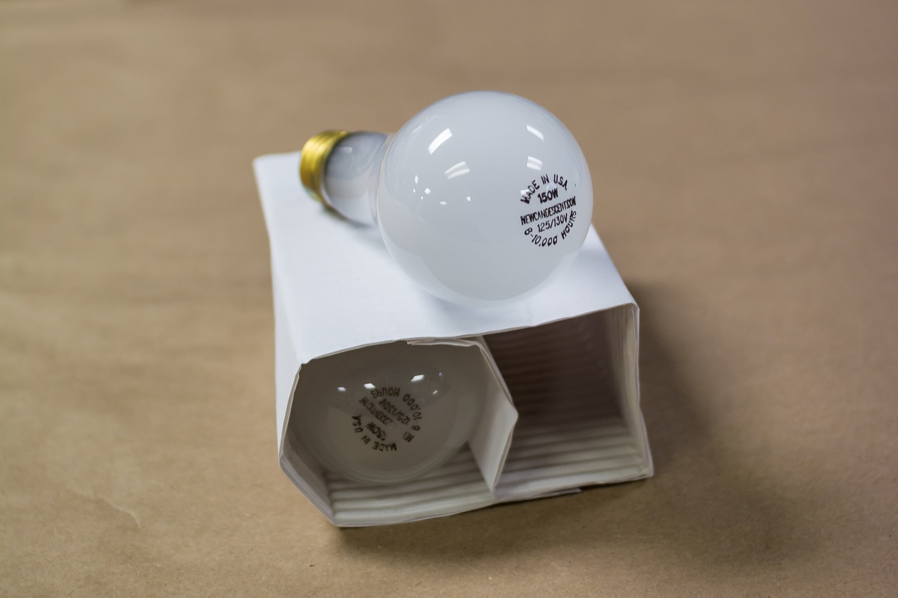 incandescent glass bulb free photo