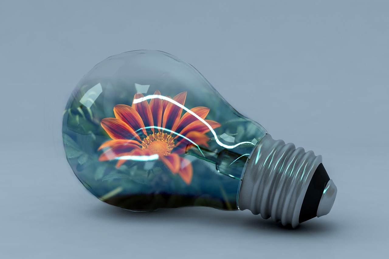 incandescent lamp energy creativity free photo