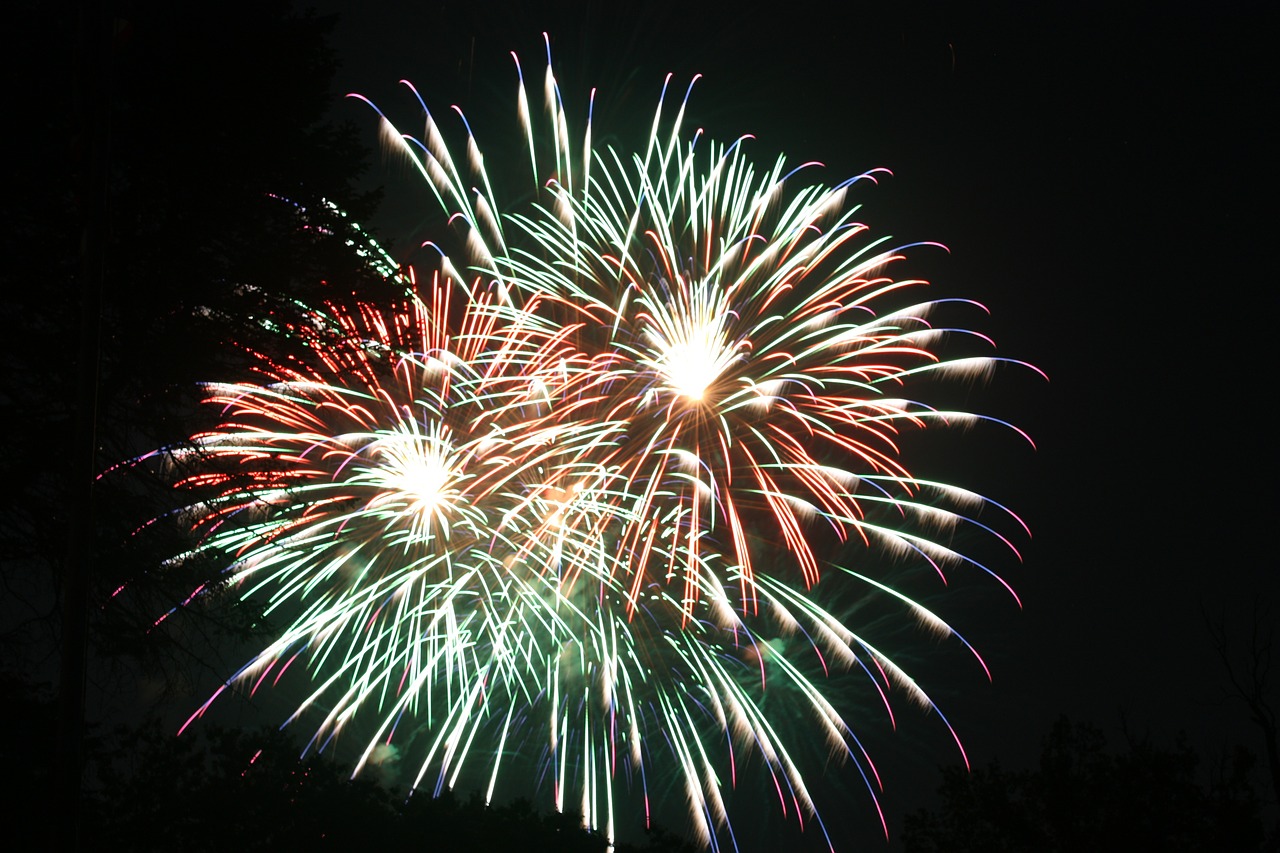 independence day fireworks celebration free photo