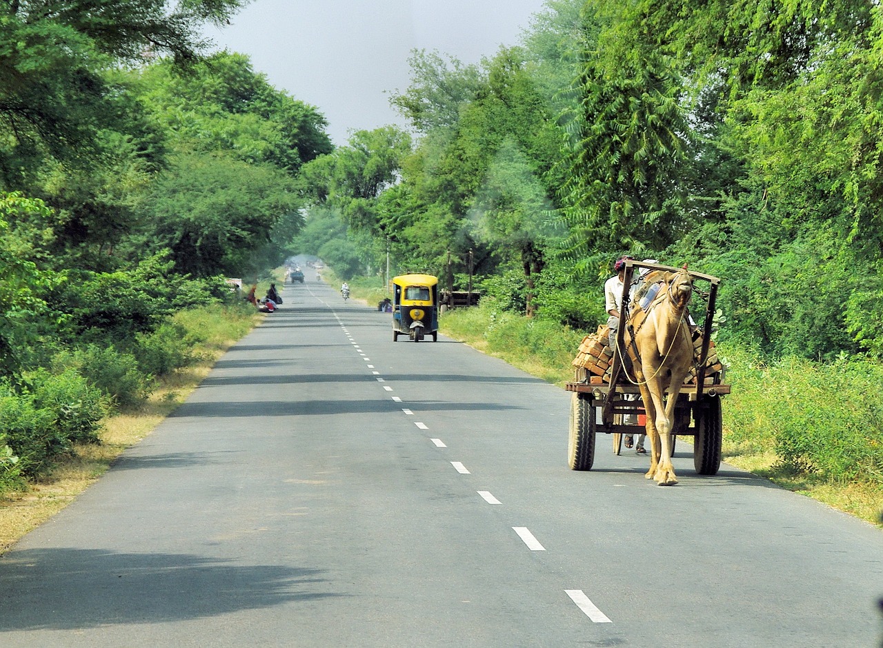 india travel transport free photo