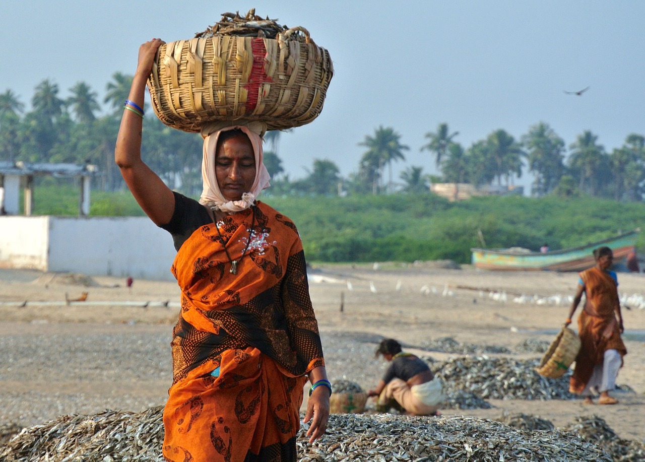 india fishing basket free photo