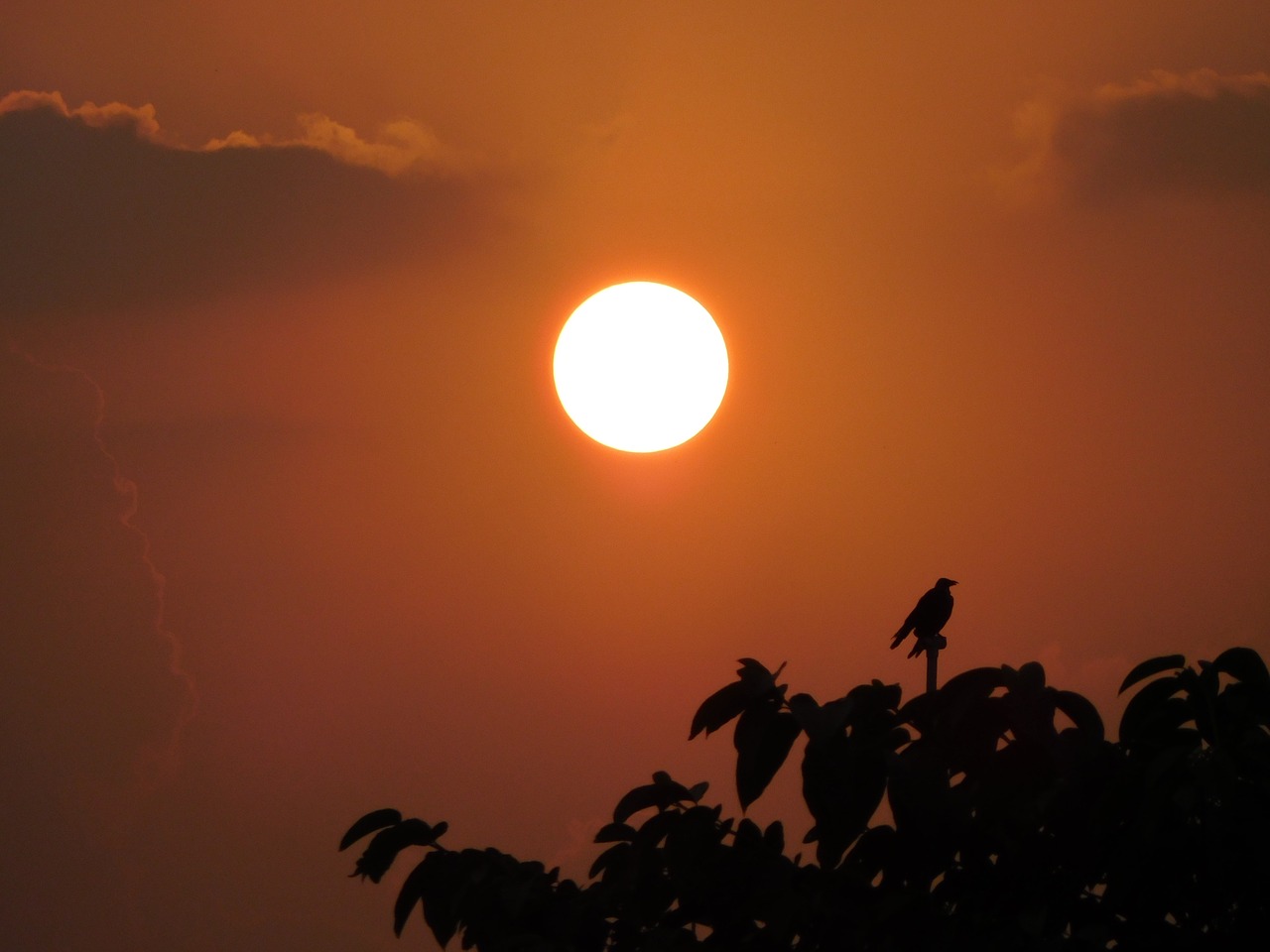 india sunrise summer free photo