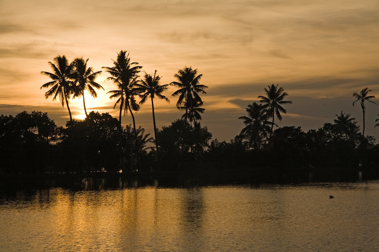 india kerala backwaters free photo