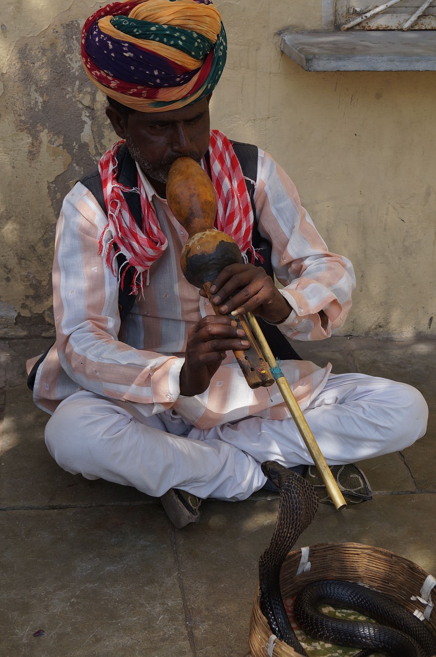 india snake charmer free photo