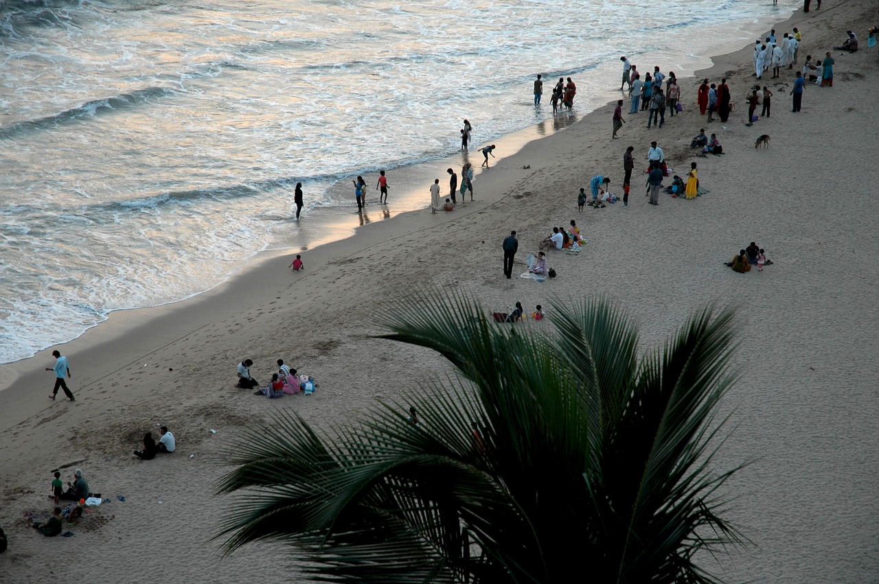 india goa beach free photo
