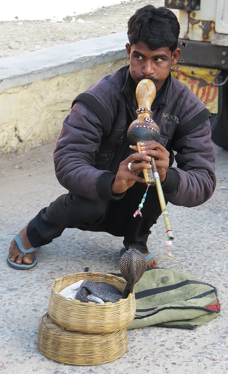 india snake snake charmers free photo