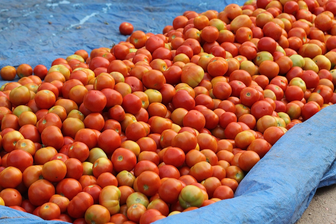 india street market tomatoes free photo