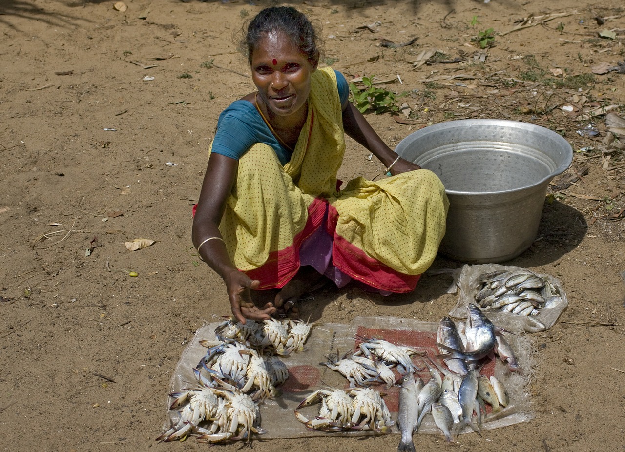 india sell fish free photo