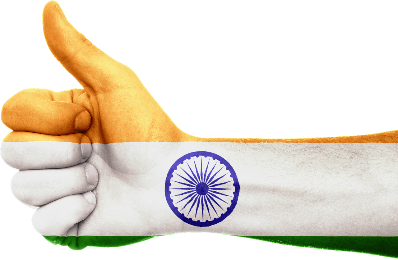 india flag hand free photo