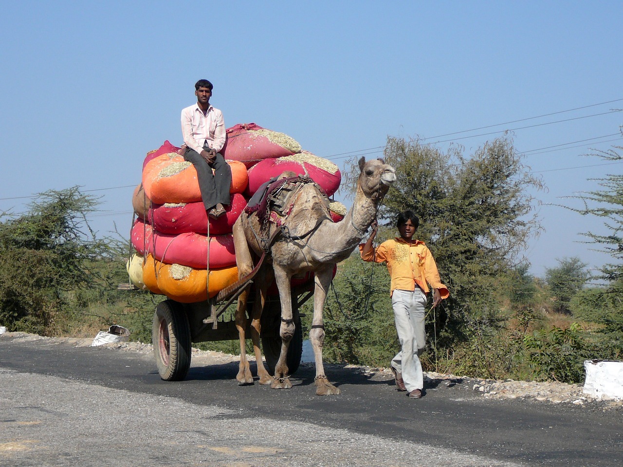 india transport desert ship free photo