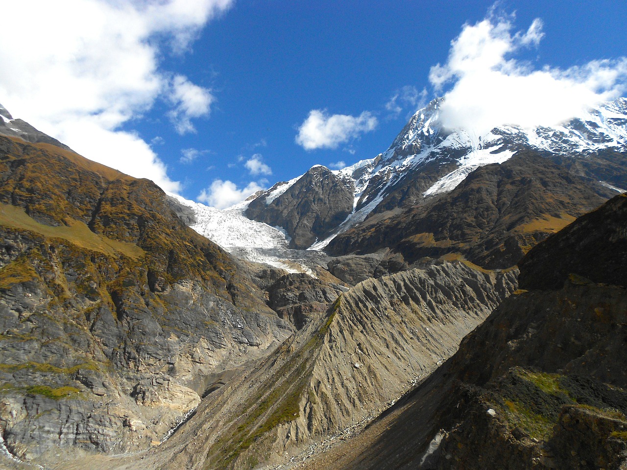 india glacier mountains free photo