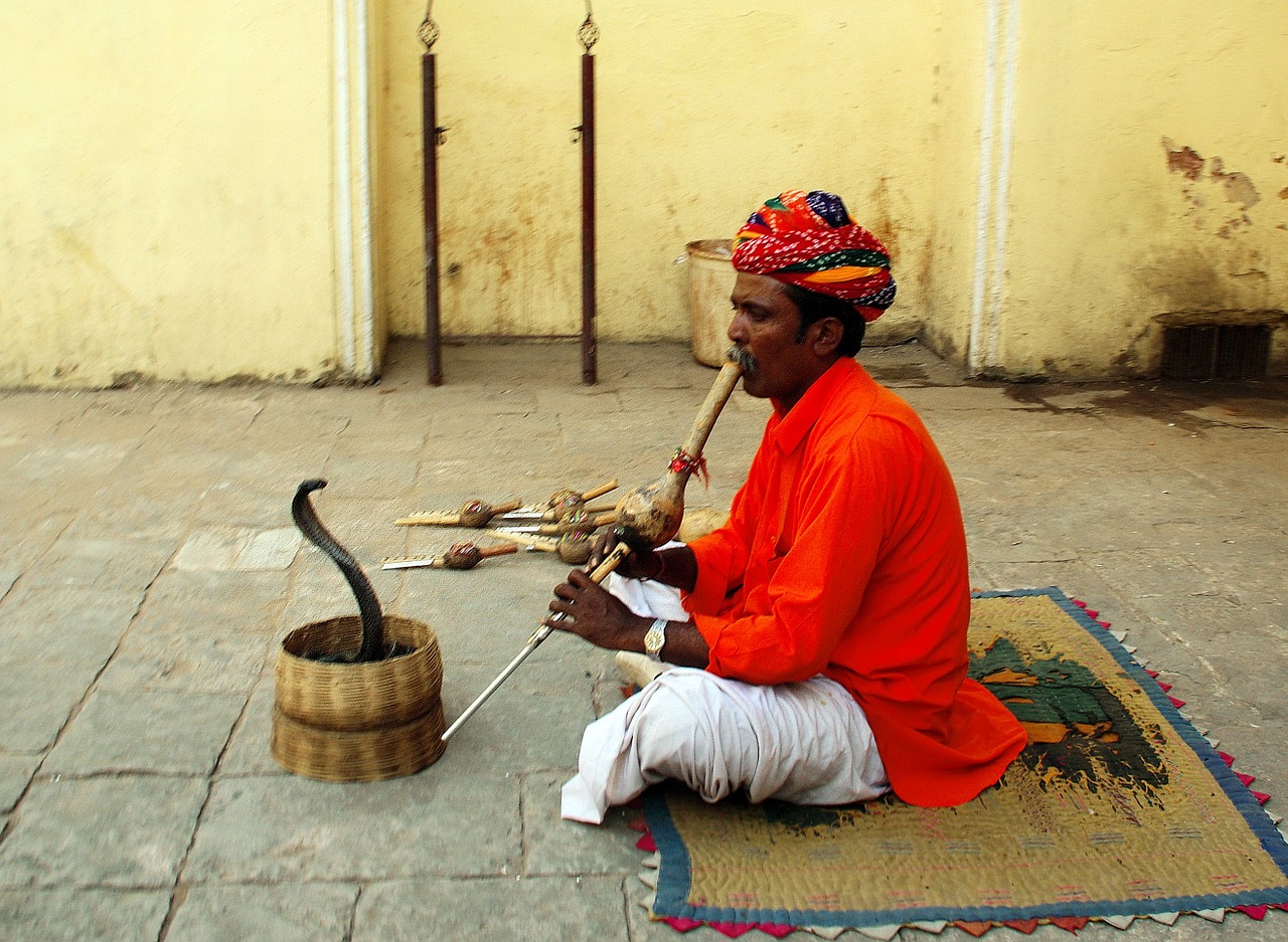 india jaipur snake charmer free photo