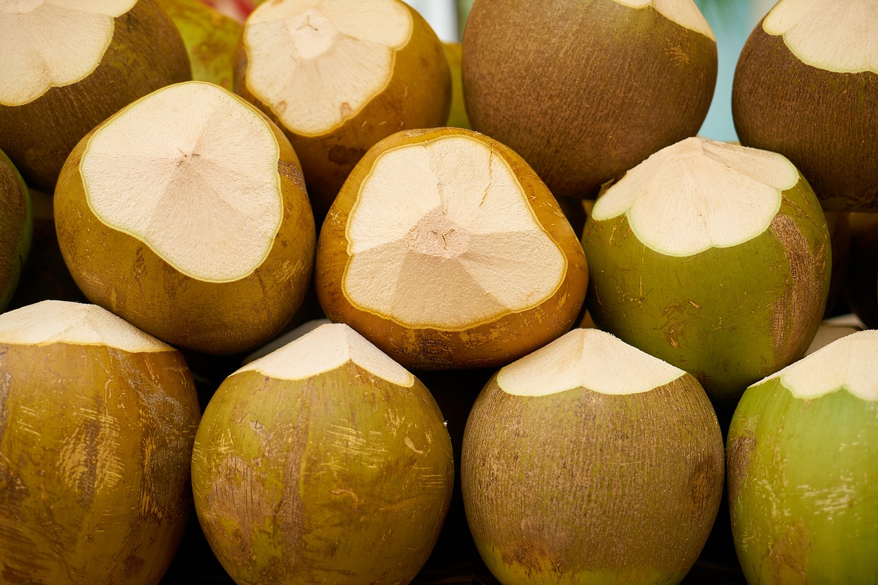 india coconut fruit tropical free photo