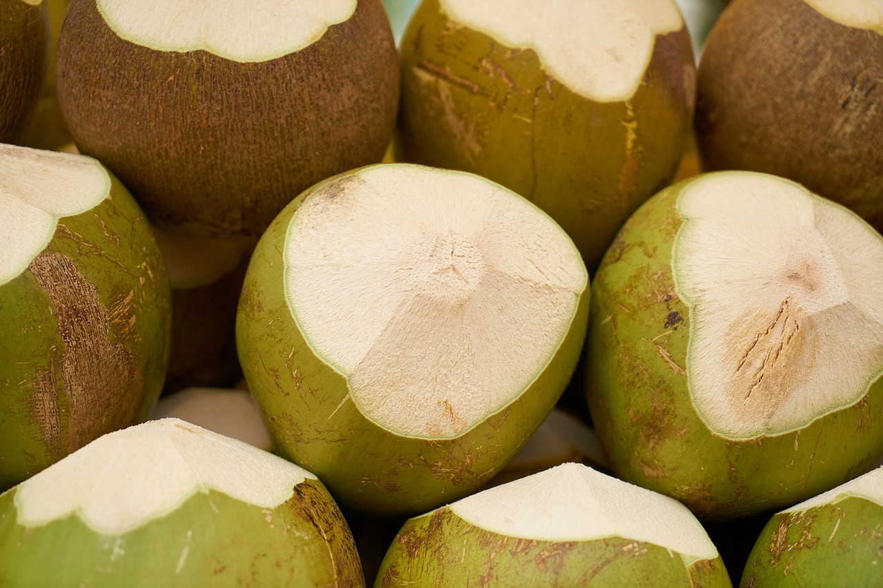 india coconut fruit fresh free photo