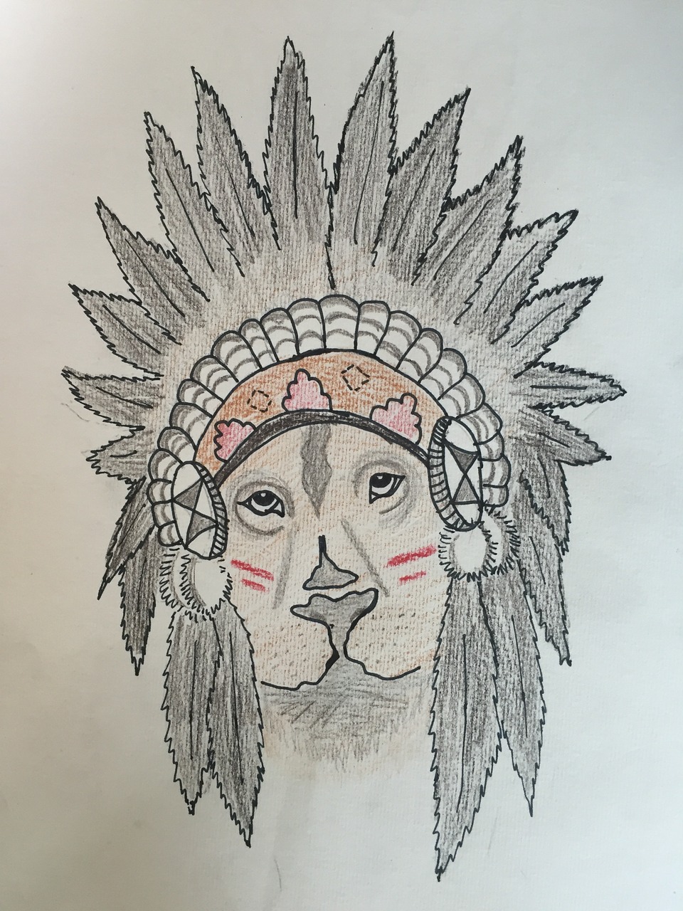 indian leo drawing free photo