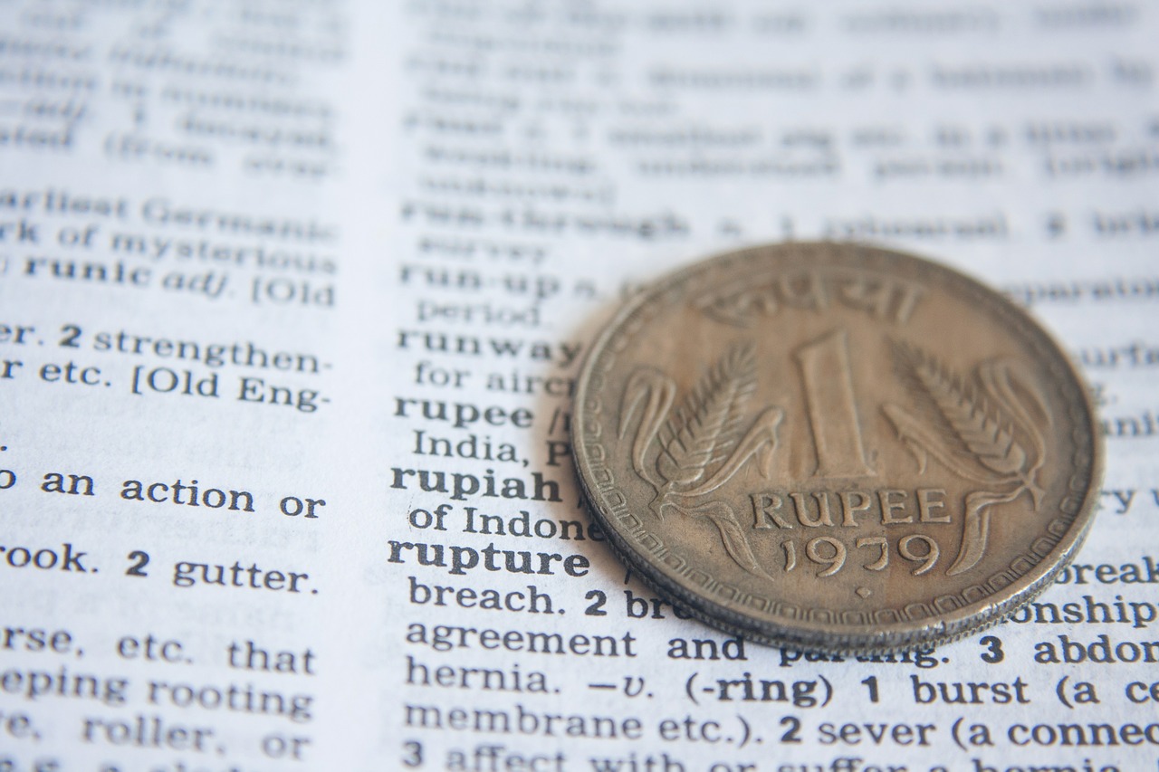 indian rupee dictionary free photo
