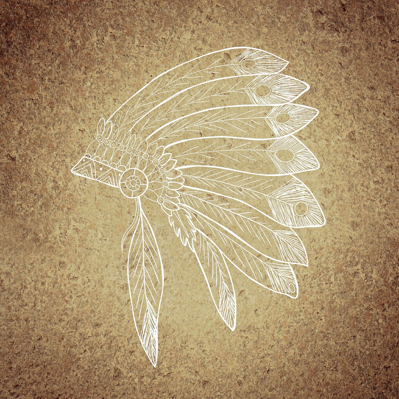 indian spring jewelry feather free photo