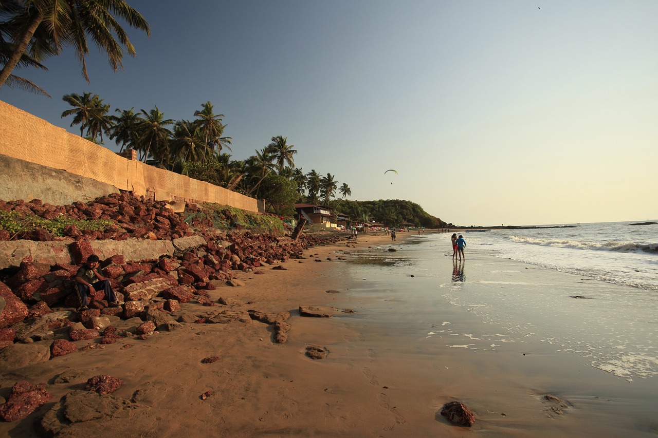 rocky beach beach coast in india free photo