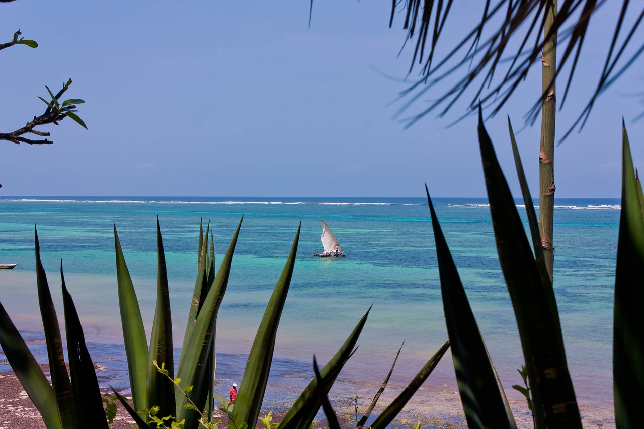 indian ocean kenya sea free photo