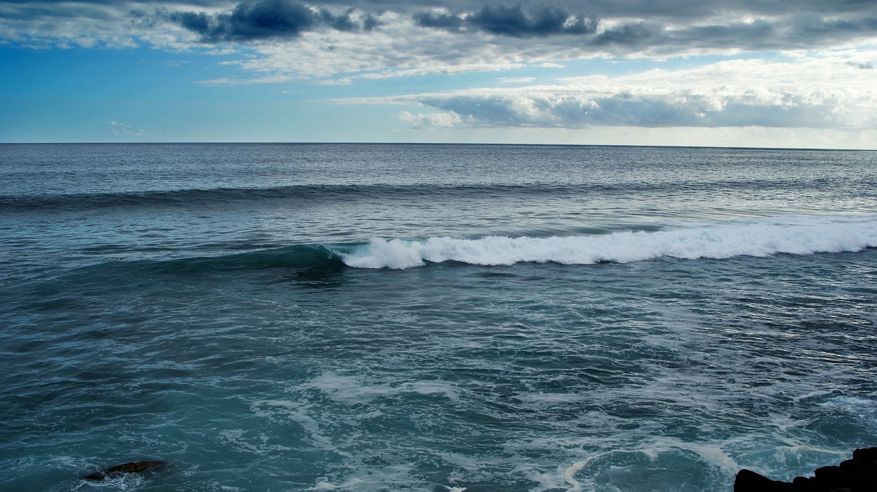 indian ocean reunion island nature free photo