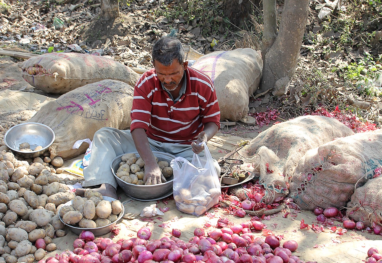 indian street vendor bazaar selling free photo