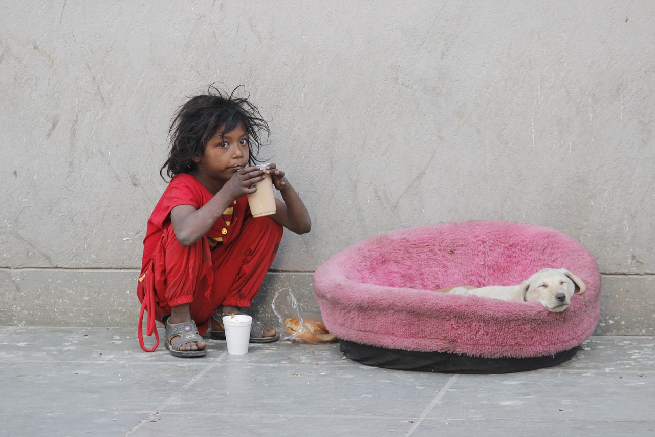 indian streets  photography  female free photo